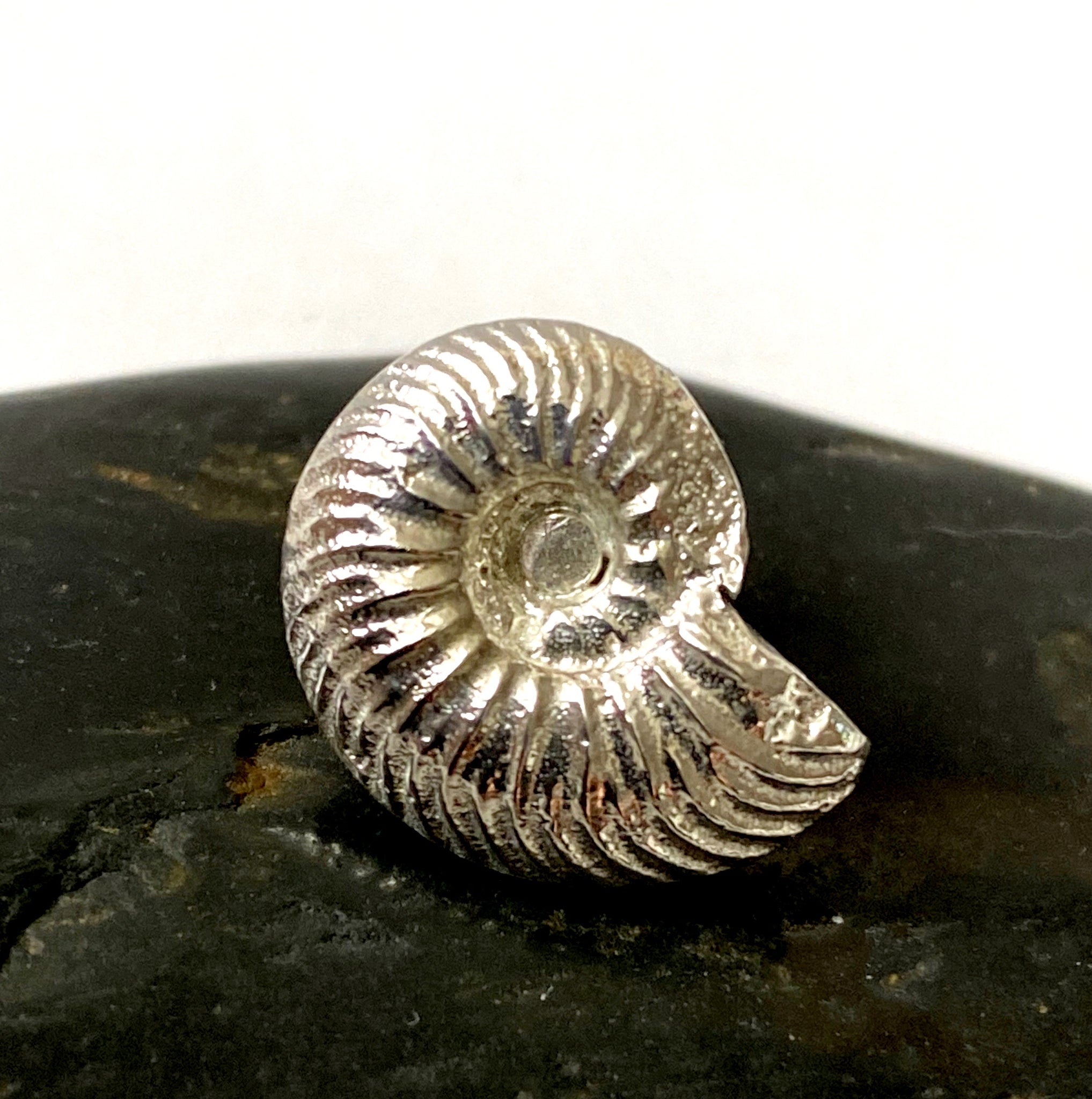 Sterling Silver Ammonite Lapel Pin/Brooch Pin